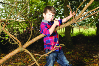 Ruaridh plays guitar on a tree branch