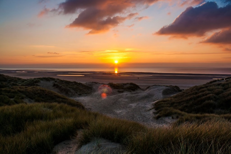 The Fylde Sand Dunes Project | Living Seas North West