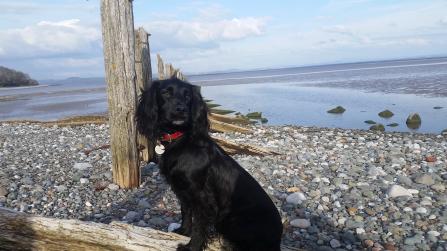 Ted on the beach