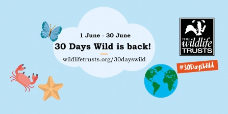 30 Days Wild