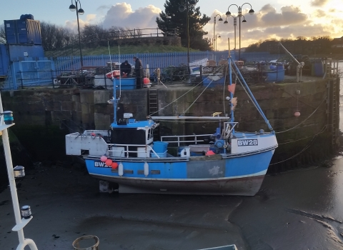 Fishing boat in the docks