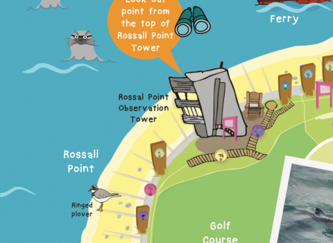 Lancashire's Living Sea Wildlife Trail Map